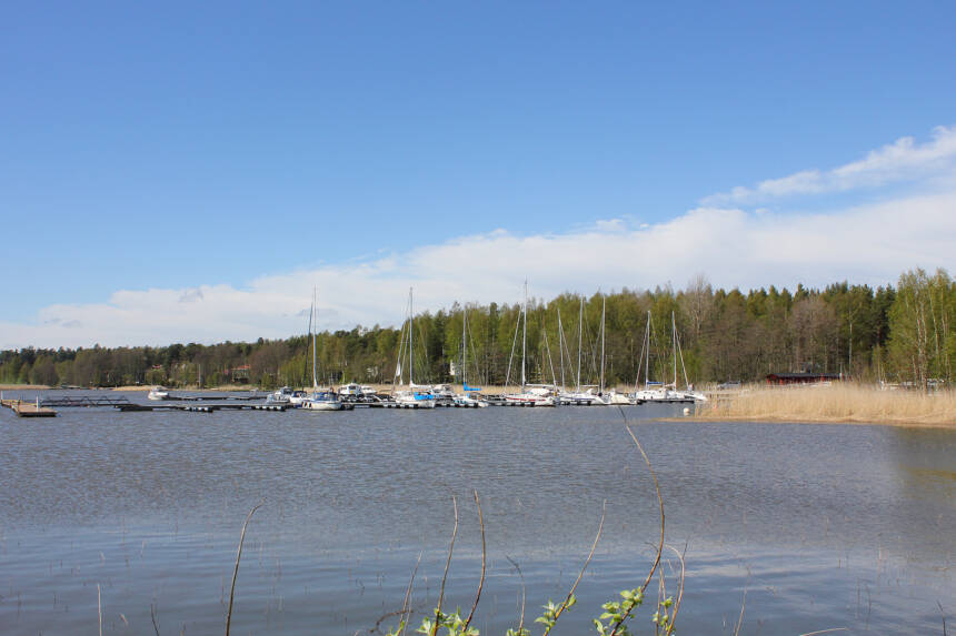 Bryggor med segelbåtar och andra båtar